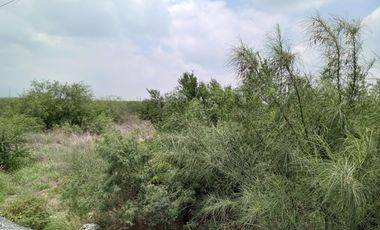 TERRENO INDUSTRIAL EN VENTA EN SALINAS VICTORIA NL