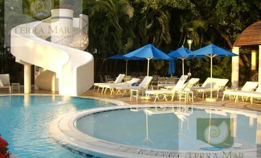 Departamento - Miguel Alemán