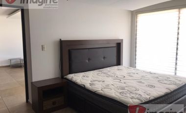 Departamento amueblado en renta Zona Plateada