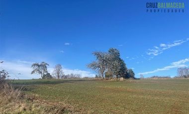 Agrícola en Venta en Ruta U-592 a 10 km de Rio Negro