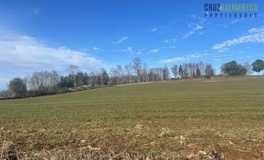 Agrícola en Venta en Ruta U-592 a 10 km de Rio Negro