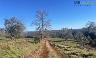 Agrícola en Venta en Ruta U-592 a 10 km de Rio Negro
