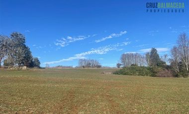Agrícola en Venta en Ruta U-592 a 10 km de Rio Negro