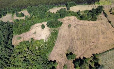 Agrícola en Venta en Ruta U-592 a 10 km de Rio Negro