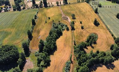 Agrícola en Venta en Ruta U-592 a 10 km de Rio Negro