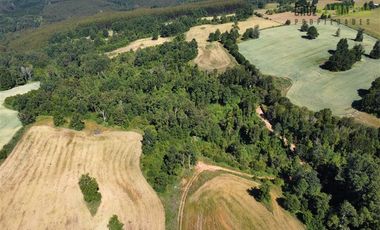 Agrícola en Venta en Ruta U-592 a 10 km de Rio Negro