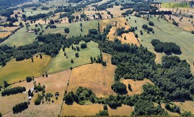Agrícola en Venta en Ruta U-592 a 10 km de Rio Negro