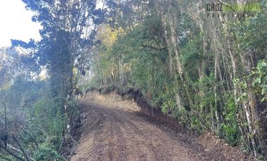 Agrícola en Venta en Ruta U-592 a 10 km de Rio Negro