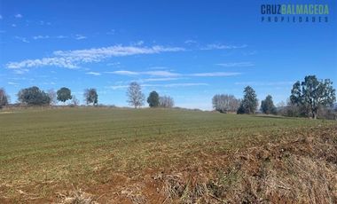 Agrícola en Venta en Ruta U-592 a 10 km de Rio Negro