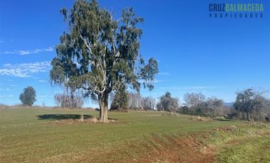 Agrícola en Venta en Ruta U-592 a 10 km de Rio Negro