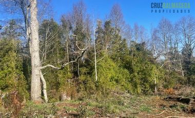 Agrícola en Venta en Ruta U-592 a 10 km de Rio Negro