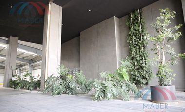 Oficina en San Andrés Cholula