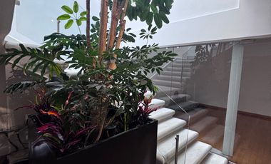 Casa en Polanco III Sección, Miguel Hidalgo