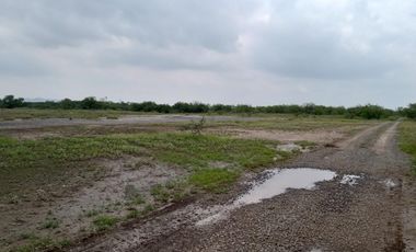 TERRENO INDUSTRIAL EN RENTA O VENTA SALINAS VICTORIA NL