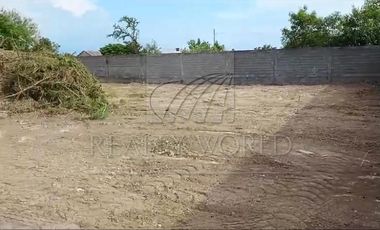 Terrenos en Renta en Une