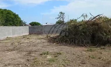 Terrenos en Renta en Une