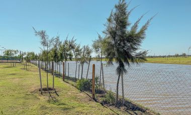 Terreno con frente SUR en barrio privado Vida Club de Campo, Funes