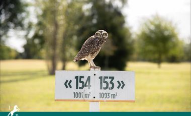 Terreno en  Estancia La Rinconada. Ibarlucea