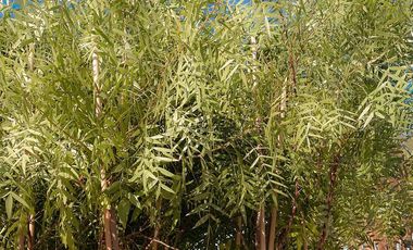 Terreno - Funes Lakes Barrio Privado | Venta