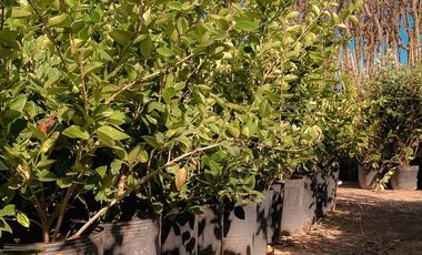 Terreno - Funes Lakes Barrio Privado | Venta