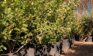 Terreno - Funes Lakes Barrio Privado | Venta