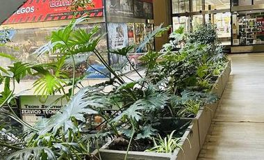 Oportunidad-Local en Alquiler- Galeria jardin- Microcentro