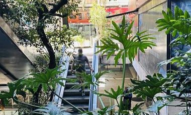 Oportunidad-Local en Alquiler- Galeria jardin- Microcentro