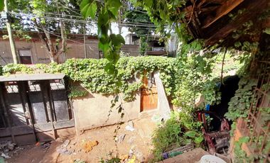 Gral. San Martín céntrico - Lote apto subdivisón en varias unidades!