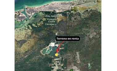 Terreno Industrial en Renta en Progreso, Yucatán