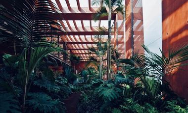 Departamento en renta en Reforma 27 con balcón terrazas