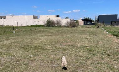 Lote de terreno comercial en Acequias del Aire