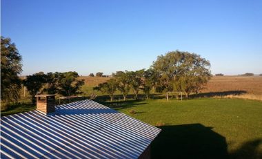 Campo mixto de 758 Has en Carlos Casares, Buenos Aires