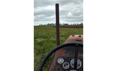 Campo mixto de 758 Has en Carlos Casares, Buenos Aires