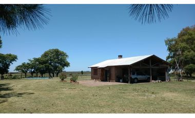 Campo mixto de 758 Has en Carlos Casares, Buenos Aires