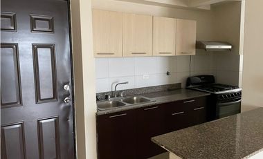 SE VENDE APARTAMENTO PH PARQUE LEFEVRE SKY