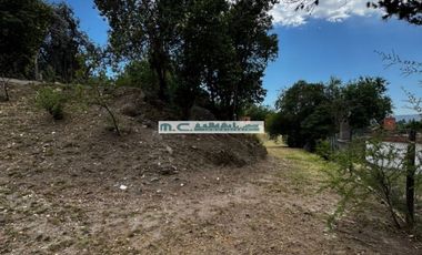 LE191.TALA HUASI. ALAMBRADO C/ SERV Y MEJORAS.EXC. UBICACIÓN Y VISTAS. 2100mt2.