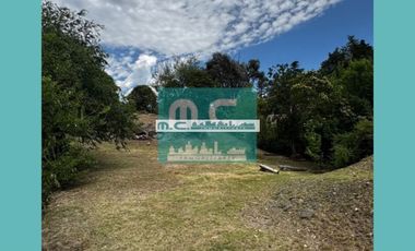 LE191.TALA HUASI. ALAMBRADO C/ SERV Y MEJORAS.EXC. UBICACIÓN Y VISTAS. 2100mt2.