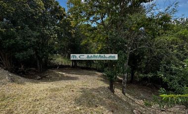 LE191.TALA HUASI. ALAMBRADO C/ SERV Y MEJORAS.EXC. UBICACIÓN Y VISTAS. 2100mt2.