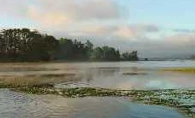 Casa en arriendo en VALDIVIA