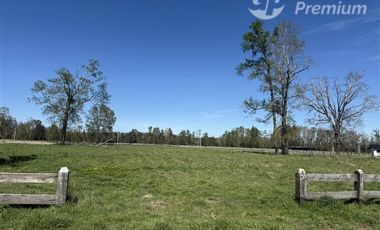 Parcela en Venta en Camino Villarrica Freire KM5,3 Condominio Vida Nueva