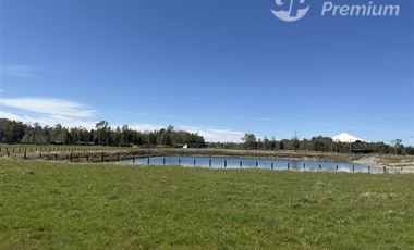 Parcela en Venta en Camino Villarrica Freire KM5,3 Condominio Vida Nueva