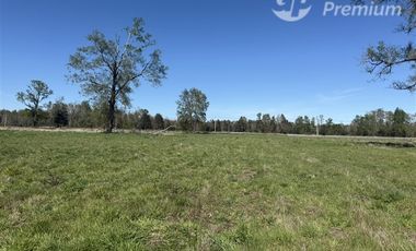 Parcela en Venta en Camino Villarrica Freire KM5,3 Condominio Vida Nueva
