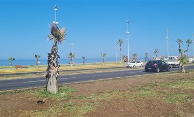 Departamento en Arriendo en Avenida Santiago Polanco 2030