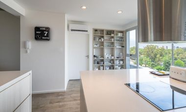 PENTHOUSE EN DOMUS 2222