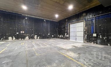 En alquiler Depósito 5500 m2 sobre lote de 7000 m2 - Allen