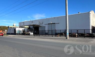 En alquiler Depósito 5500 m2 sobre lote de 7000 m2 - Allen