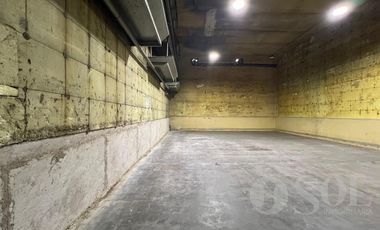 En alquiler Depósito 5500 m2 sobre lote de 7000 m2 - Allen