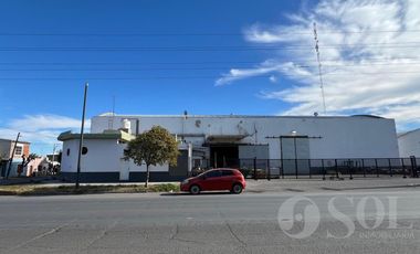 En alquiler Depósito 5500 m2 sobre lote de 7000 m2 - Allen