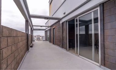 Departamento de dos ambientes en alquiler en Crucecita