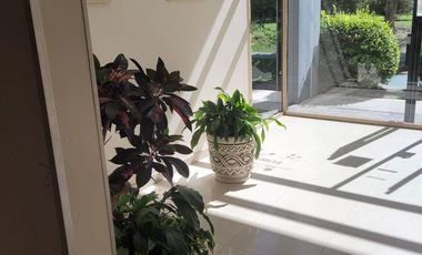 Departamento - Wilde